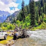 KASHMIR TOUR (7 Nights /8 Days) - Final Thoughts: Who Is This Tour Best For?