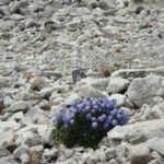 Kathmandu : 14 -Day Everest Base Camp with Kala Patthar Trek - Practical Details and What It Means for You