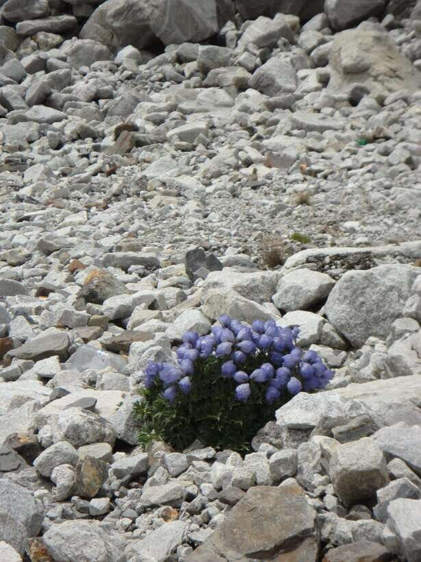 Kathmandu : 14 -Day Everest Base Camp with Kala Patthar Trek - Practical Details and What It Means for You