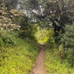 Kathmandu: 1N-2D Hiking to Chisapani and Nagarkot - What’s Included and What’s Not