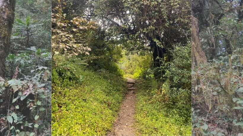 Kathmandu: 1N-2D Hiking to Chisapani and Nagarkot - What’s Included and What’s Not