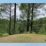 Kathmandu: 3-4 Hrs Hiking at Shivapuri National Park - In-Depth Review of the Trekking Experience