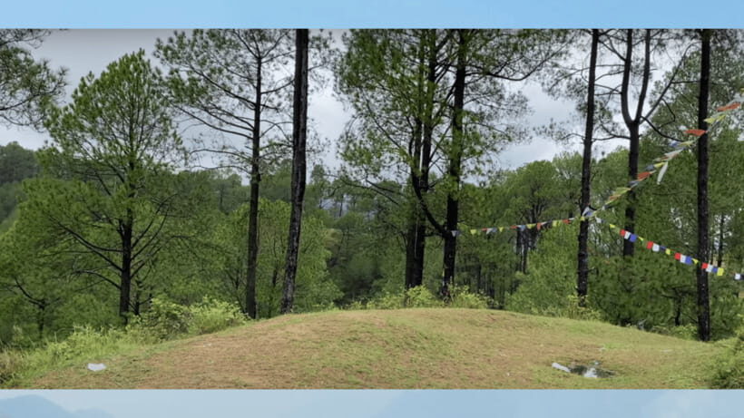 Kathmandu: 3-4 Hrs Hiking at Shivapuri National Park - In-Depth Review of the Trekking Experience