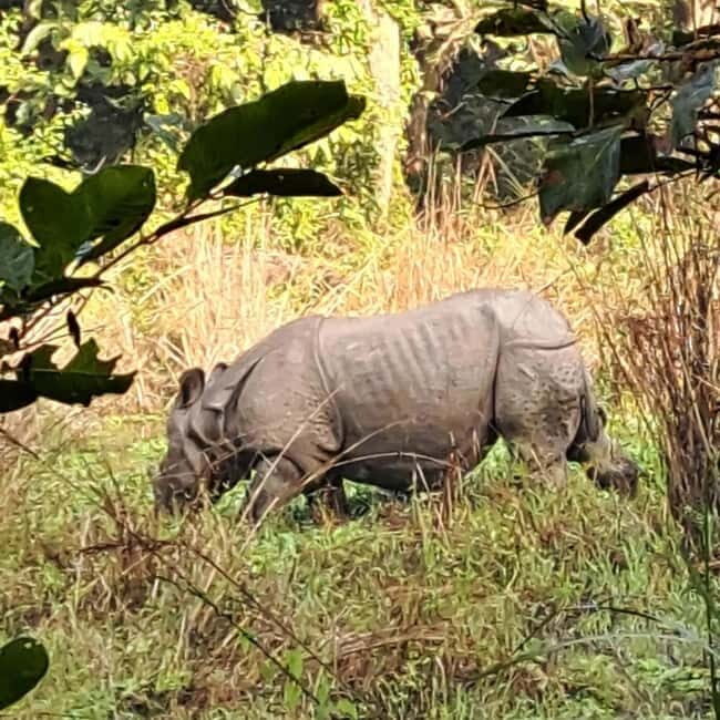 Kathmandu: 3-Day Chitwan Safari Tour with Hotel Transfers - What Makes This Tour Stand Out?