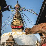 Kathmandu Bhaktapur Patan Authentic Local Tour +7 UNESCO WH Sites - In-Depth Review of the 3-Day Kathmandu Valley Tour