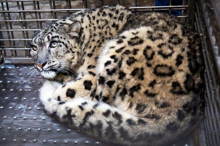 Kathmandu: Central Zoo Tour - Who Should Consider This Tour?