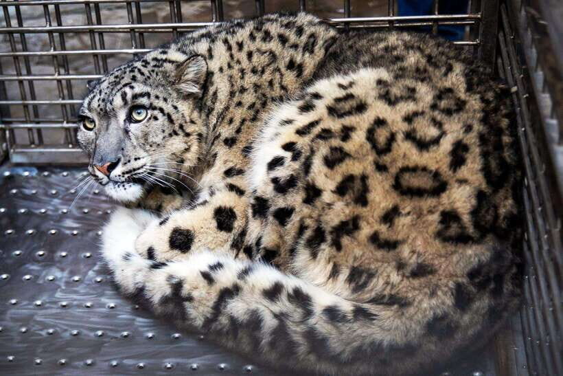 Kathmandu: Central Zoo Tour - Who Should Consider This Tour?