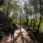 Kathmandu: Day Hike with Breakfast and Lunch - Reaching Nagarkot: The Hilltop Village