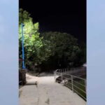 Kathmandu: Evening Tour to Taudaha Lake - What To Expect from the Tour