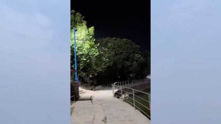 Kathmandu: Evening Tour to Taudaha Lake - What To Expect from the Tour