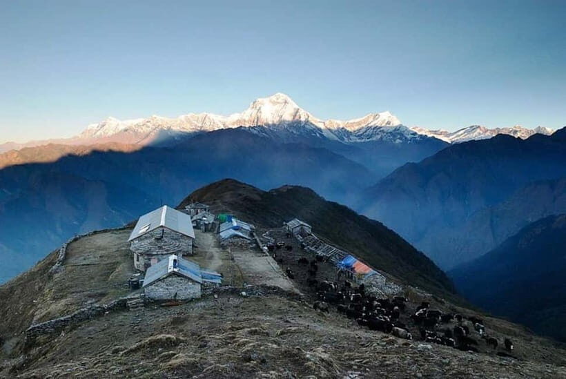 Kathmandu: Khopra Ridge Trek with Panoramic Views - An In-Depth Look at the Khopra Ridge Trek Experience