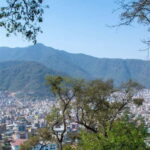 Kathmandu: Monkey Temple Guided Monkey Watching Tour - Exploring the Monkey Temple: A Deep Dive