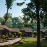 Kathmandu/Pokhara: 2-Day Chitwan Safari Private Tour By Car - Authenticity and Value