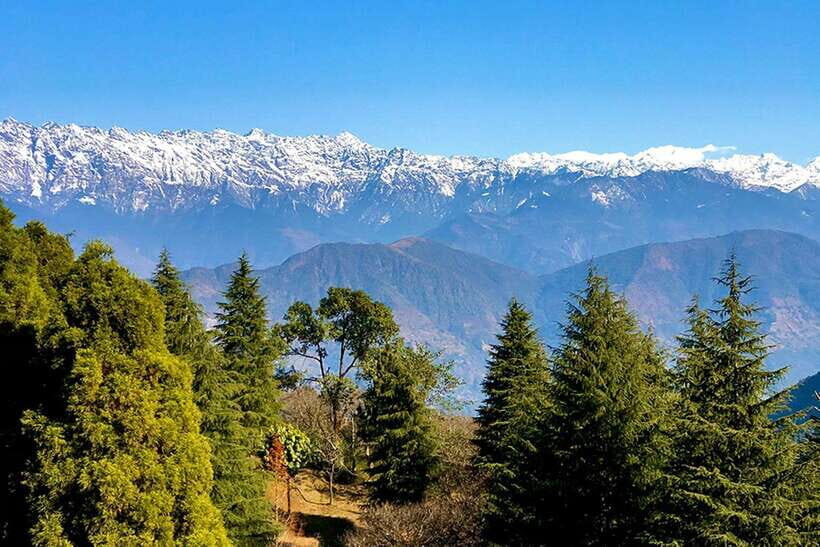 Kathmandu: Shivapuri Day Hike with Lunch - The Value of the Experience