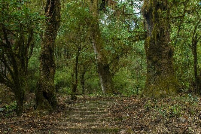 Kathmandu Shivapuri National Park and Nagarkot Hiking - 3 Days - The Sum Up