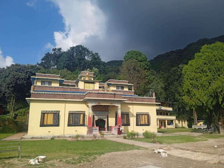 Kathmandu: Shivapuri National park Day Hiking - An In-Depth Look at the Shivapuri National Park Day Hike