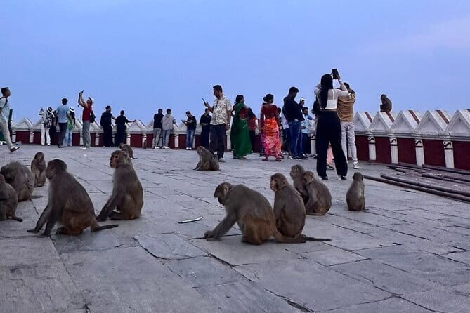 Kathmandu Sightseeing Day Tour by Guide and Private Car - Who Will Love This Tour?