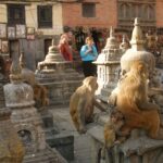 Kathmandu Transit Tour | Transit tour in Kathmandu Nepal - How does it all come together?