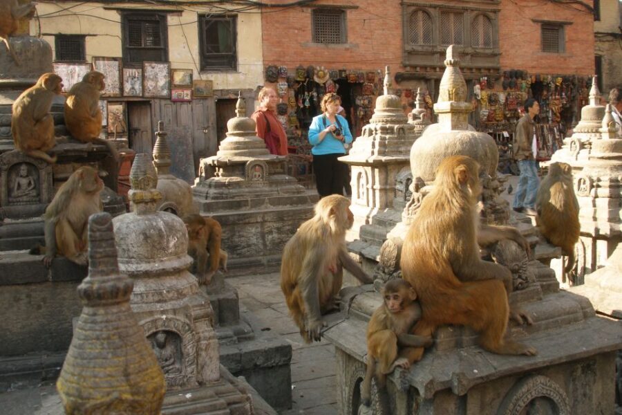Kathmandu Transit Tour | Transit tour in Kathmandu Nepal - How does it all come together?