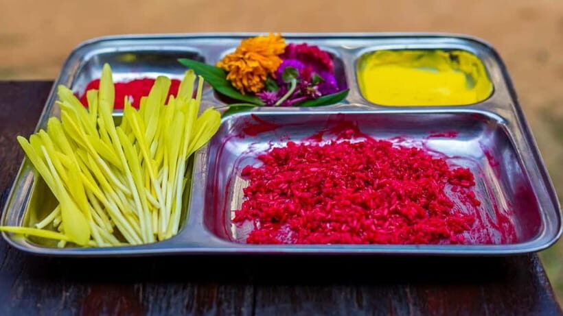 Kathmandu: Vijaya Dashami Festival Tour with Feast - Practical Details and Value