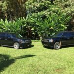 Kauai Cruise Ship Roundtrip Excurision Transfers - Who Will Love This Service?