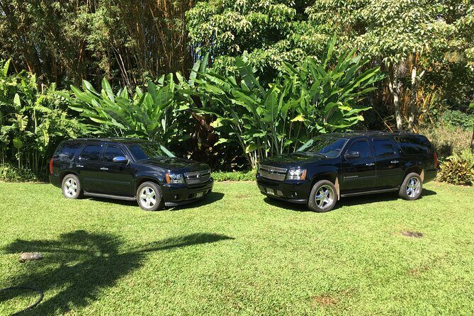 Kauai Cruise Ship Roundtrip Excurision Transfers - Who Will Love This Service?