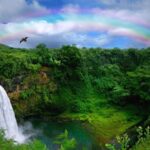 Kauai: Customized Luxury Private Tour - Who Should Book This Tour?