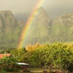 Kauai East Side and North Shore Private Guided Tour - Who Would Enjoy This Tour the Most?