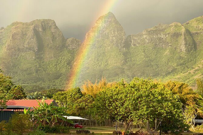 Kauai East Side and North Shore Private Guided Tour - Who Would Enjoy This Tour the Most?