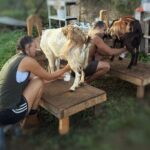 Kauai Private Baby Farm Animal Experience & Micro Dairy Immersion - Frequently Asked Questions