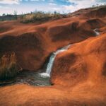 Kauai Private Guided Tour to Waimea Canyon from Nawiliwili - Who Is This Tour Best For?