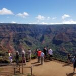 Kauai Shore Excursion - Waimea Canyon Adventure Tour - Nawiliwili - Why this Tour Works Well for Travelers