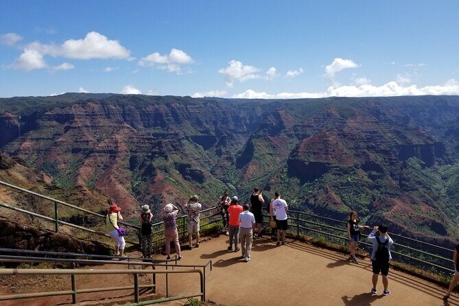 Kauai Shore Excursion - Waimea Canyon Adventure Tour - Nawiliwili - Why this Tour Works Well for Travelers