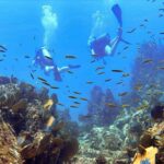 Kauai's Exclusive Morning Scuba Charter for Experienced Divers - Who Should Consider This Tour?