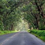 Kauai's South & East Small-Group Tour: Legends & Waterfalls - Who Will Love This Tour?