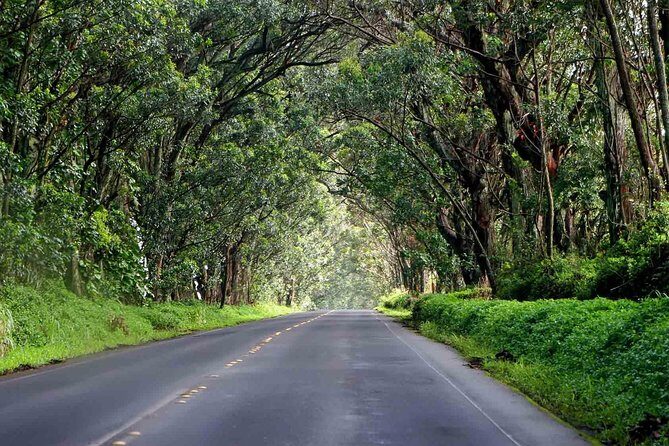 Kauai's South & East Small-Group Tour: Legends & Waterfalls - Who Will Love This Tour?
