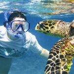 Kauai's Ultimate South Island Zodiac Boat Snorkel Adventure - Practical Details and Considerations