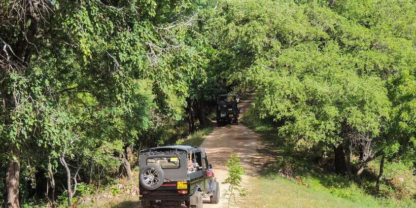 Kaudulla National Park: Private Safari - What’s Included and What’s Not
