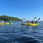 Kayak Adventure at Shell Key Preserve in Tierra Verde - An In-Depth Look at the Shell Key Kayak Experience