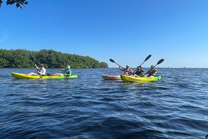 Kayak Adventure at Shell Key Preserve in Tierra Verde - An In-Depth Look at the Shell Key Kayak Experience