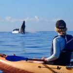 Kayak and Whale Watching Tour - Why We Love This Experience
