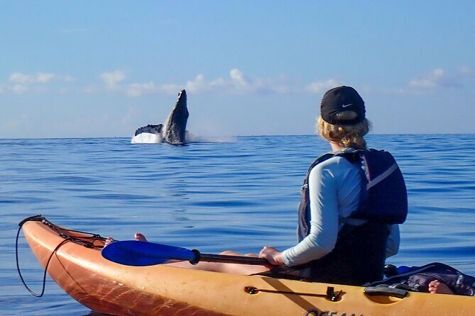 Kayak and Whale Watching Tour - Why We Love This Experience