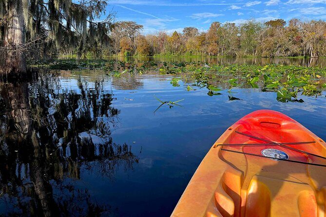Kayak Rental (2hr) - Blue Spring State Park - FAQs about the Kayak Rental at Blue Spring State Park