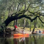 Kayak Rental on the Waccamaw River - Deep Dive: What to Expect on Your Paddle