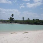 kayak through mangroves to secret beach - Who Will Love This Tour?