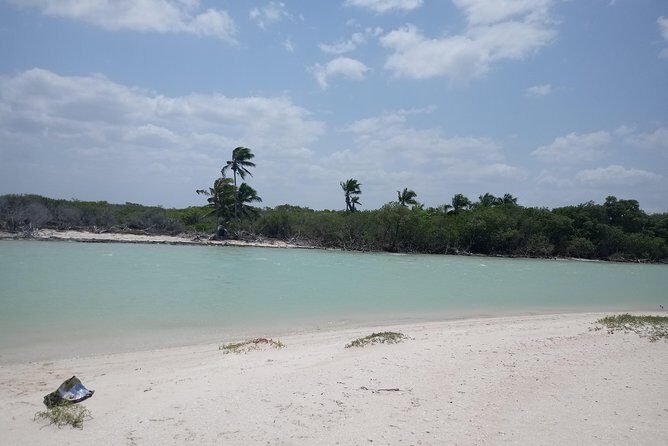 kayak through mangroves to secret beach - Who Will Love This Tour?
