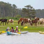 Kayak Tour along Assateague & Chincoteague Island, Virginia - A Deep Dive into the Kayak Tour Experience