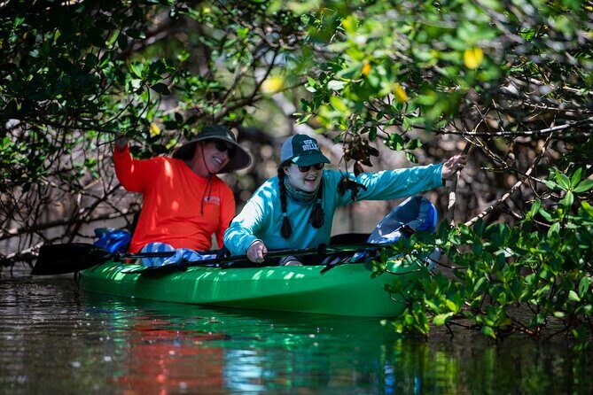 Kayak Tour at Gandy Beach Mangroves with Capt Yak with Capt Yak - A Deep Dive into the Gandy Beach Mangroves Kayak Tour