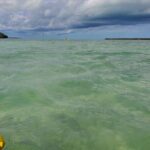 Kayak Trip, 1 Wet Hike + 2 dry hikes in Everglades National Park - What We Appreciate About This Tour