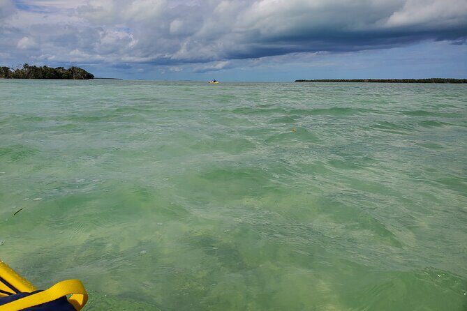 Kayak Trip, 1 Wet Hike + 2 dry hikes in Everglades National Park - What We Appreciate About This Tour